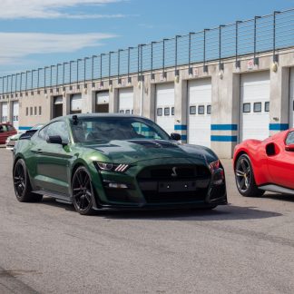 Ford Mustang Shelby GT500  - Pachfurth